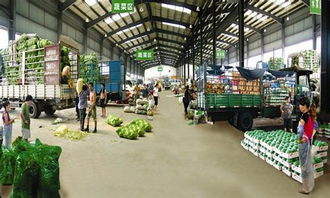 山东试水农产品批发市场监管新举措 构建食用农产品安全防线