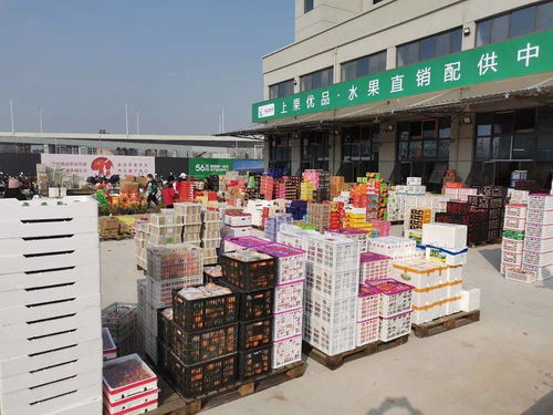 海吉星农产品物流园盛大开业 安庆“菜篮子”升级，农产品流通迈入新时代