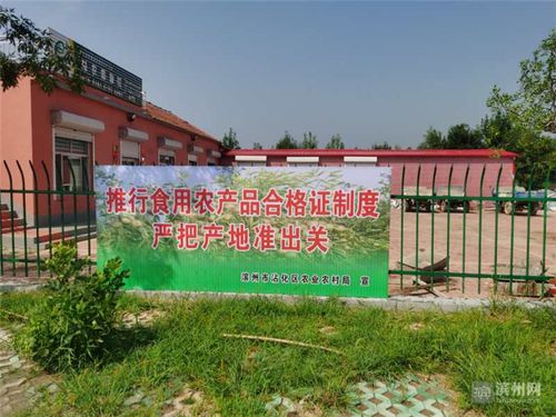 农产品电子\u201c身份证\u201d 守护舌尖安全的滨州实践