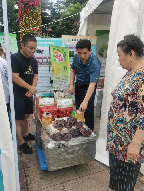 科技赋能食用菌产业，上海农科院食用菌所引领地产优质农产品进社区新篇章